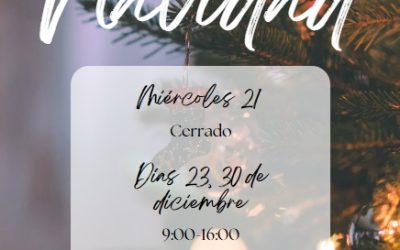 Horario Navidad 2022