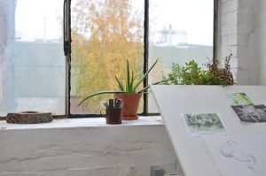 Plantas interiores naturales. 5 consejos para mejorar la calidad del aire de nuestra casa. Hogar saludable, consejos. blog mimo asesores inmobiliarios Donosti. www.inmomimo.com